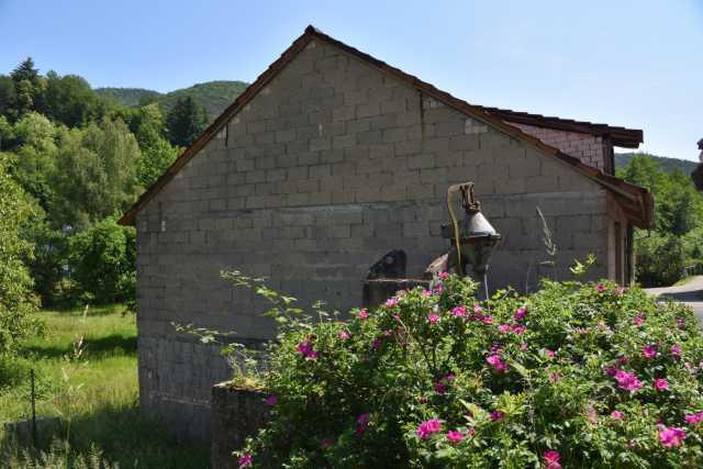 DSC_0994.JPG