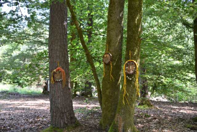 DSC_1002.JPG
