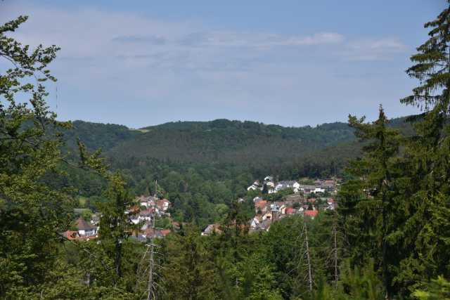 DSC_1010.JPG