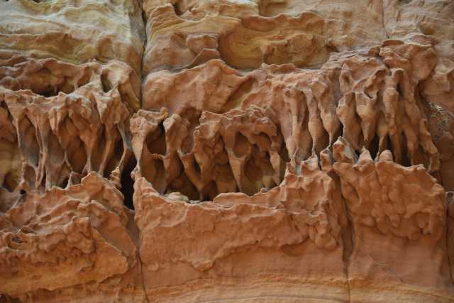 DSC_1024.JPG