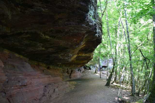 DSC_1025.JPG