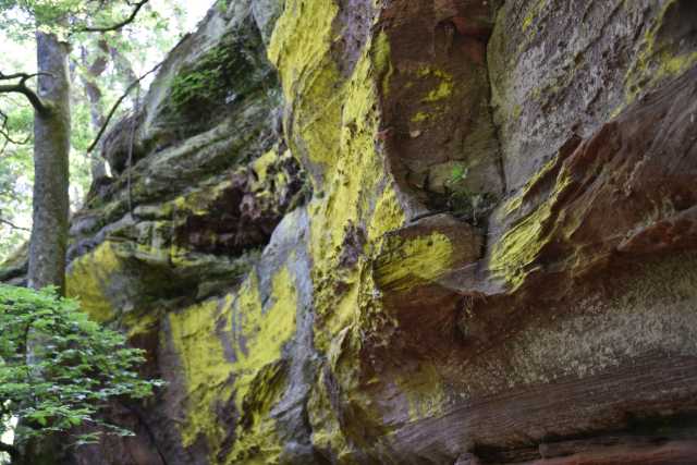 DSC_1032.JPG