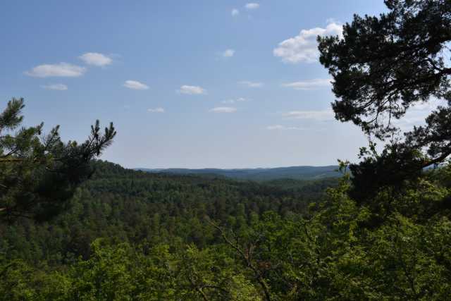DSC_1035.JPG
