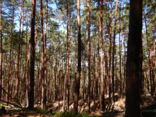DSCN6574.JPG