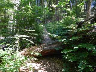 DSCN6576.JPG