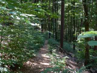 DSCN6577.JPG