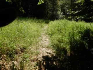 DSCN6582.JPG