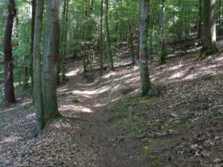 DSCN6585.JPG
