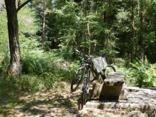 DSCN6592.JPG