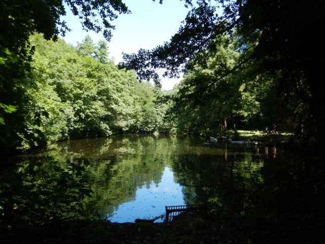 DSCN6575.JPG