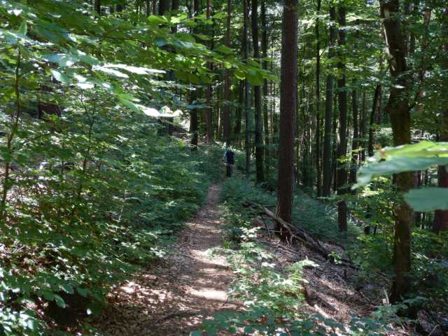 DSCN6577.JPG
