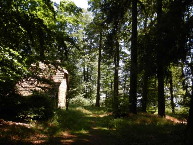 DSCN6587.JPG
