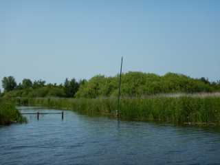 DSCN6472.JPG