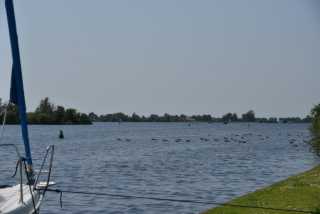 DSC_1075.JPG
