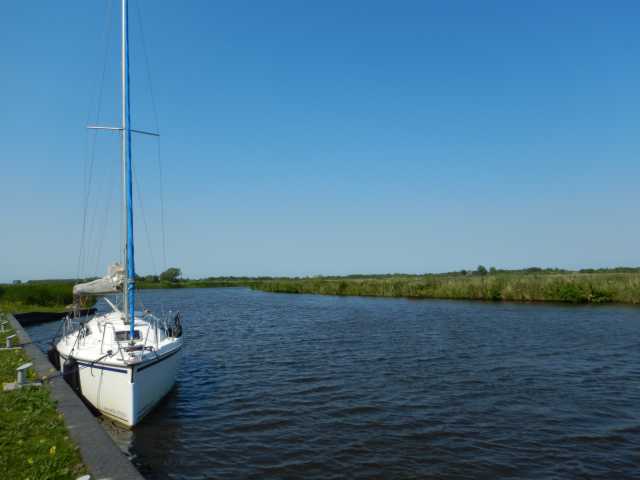 DSCN6480.JPG