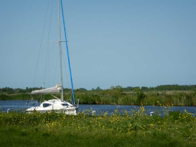 DSCN6481.JPG