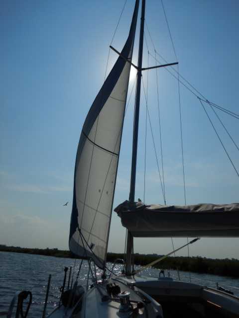 DSCN6501.JPG