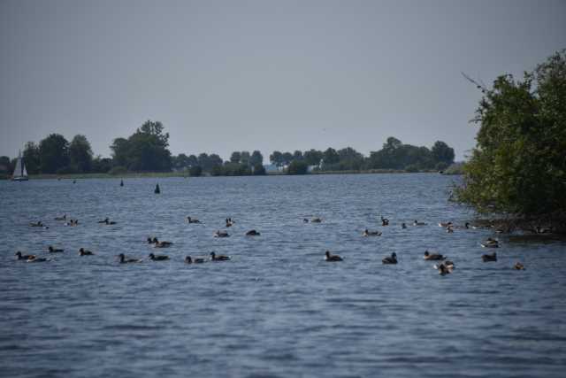 DSC_1081.JPG
