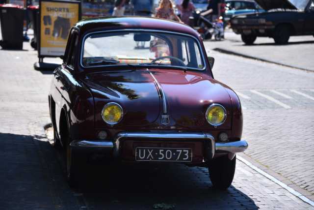 DSC_1130.JPG