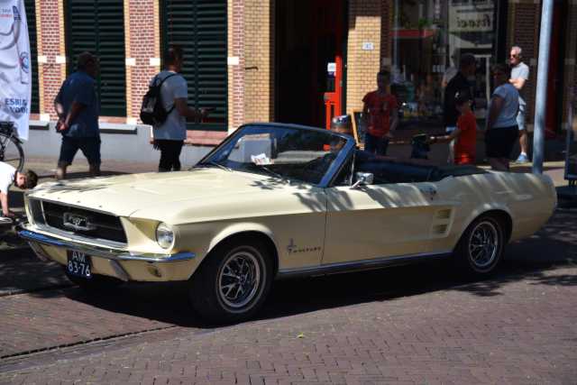 DSC_1131.JPG