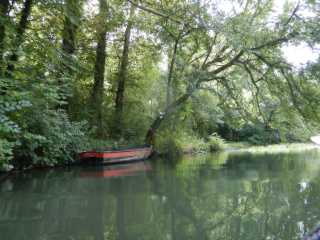 DSCN6616.JPG