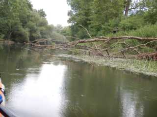 DSCN6625.JPG