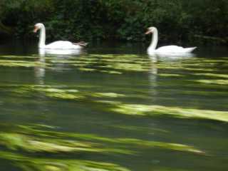 DSCN6642.JPG