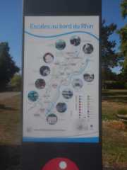 DSCN6645.JPG