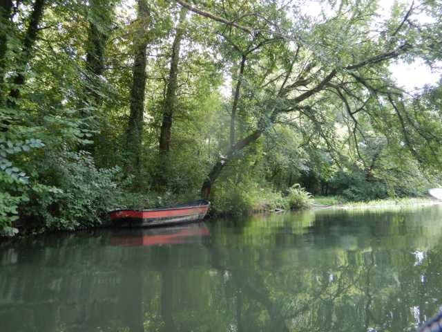 DSCN6616.JPG