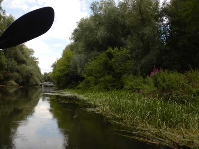 DSCN6632.JPG