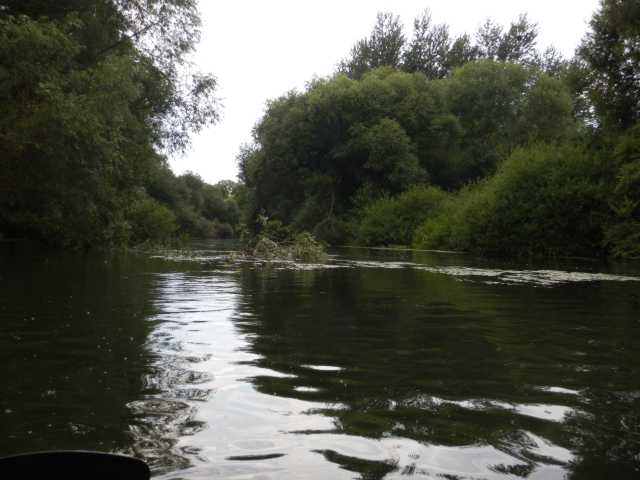 DSCN6636.JPG