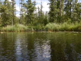 DSCN6673.JPG