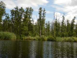 DSCN6675.JPG