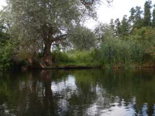 DSCN6684.JPG
