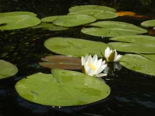 DSCN6689.JPG