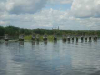 DSCN6705.JPG