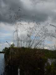 DSCN6714.JPG