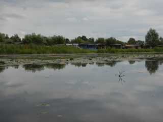 DSCN6729.JPG