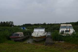 DSC_7887.JPG
