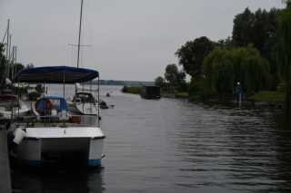 DSC_7899.JPG