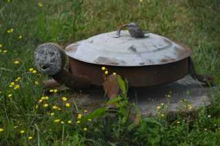 DSC_7970.JPG
