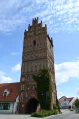 DSC_7982.JPG