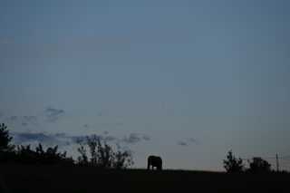 DSC_8018.JPG