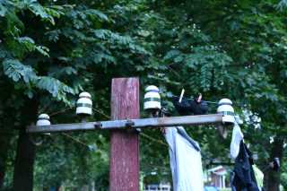 DSC_8037.JPG