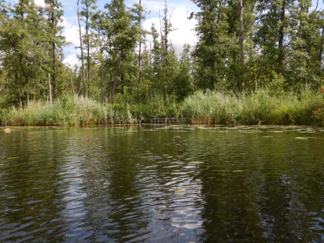 DSCN6673.JPG