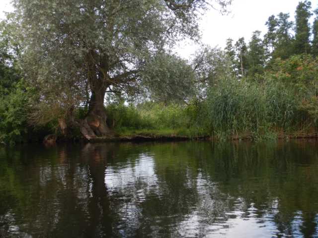 DSCN6684.JPG