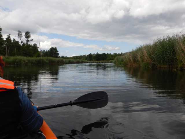 DSCN6687.JPG
