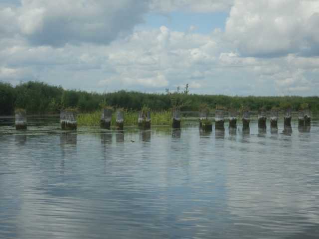DSCN6705.JPG