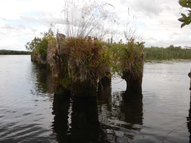 DSCN6711.JPG