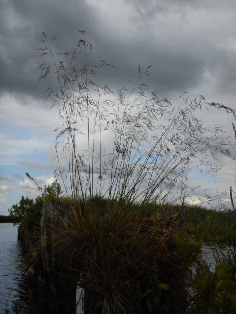 DSCN6714.JPG